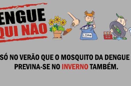 Inverno requer cuidados contra a dengue