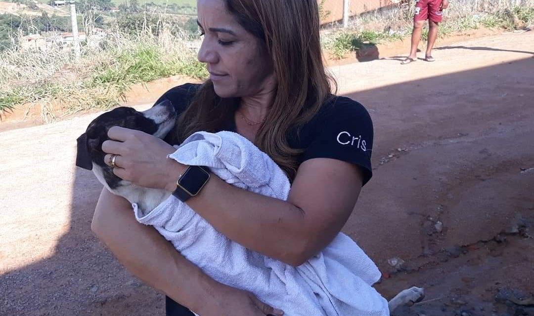 Solidariedade! Ajude a protetora de animais Cris na causa animal na cidade de Itupeva com doações