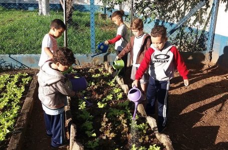 Emebs incentivam alimentação saudável através da ‘Horta na Escola’ em Cabreúva