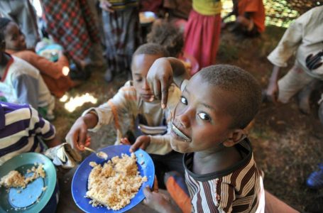 Estudo inédito avalia saúde nutricional das crianças brasileiras