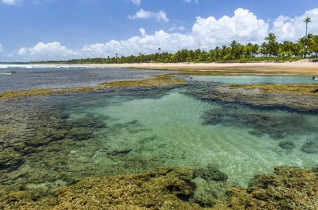 Bahia é o Estado mais buscado para turismo em 2019, de acordo com um levantamento do Hurb – Hotel Urbano