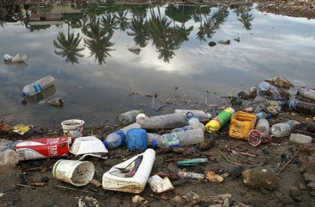 Pesquisa mostra que plástico acumulado no fundo do mar não se decompõe