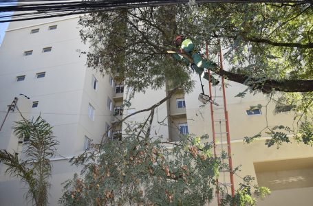 Servidores participam de palestra sobre segurança na rede elétrica em Jundiaí