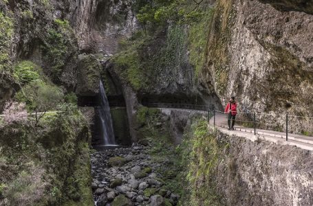 As levadas madeirenses: um passeio único no mundo