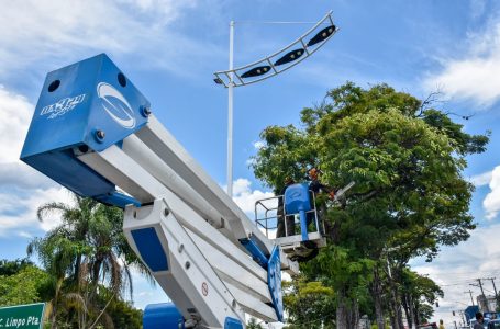 Defesa Civil realiza poda de árvores na Avenida Jordano Mendes em Cajamar