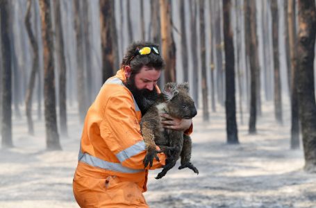 Incêndio na Austrália destruiu um terço da Ilha Kangaroo, mostra Nasa