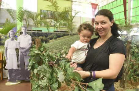 Festa da Uva: Exposição e receitas para encantar visitantes em Jundiaí