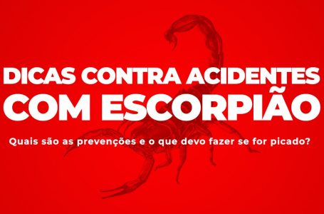 Alerta contra Escorpião: Dicas importantes para prevenção contra acidentes em Cajamar