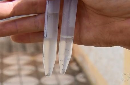 Casos de chikungunya cresceram 44% em Sorocaba no ano passado