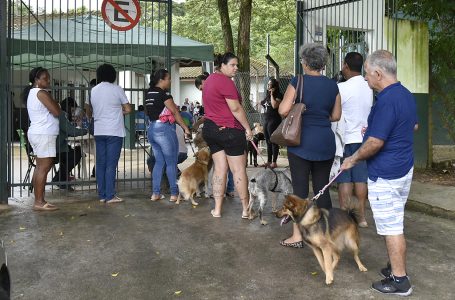 DEBEA promove em janeiro dois mutirões de castração de cães e gatos em Jundiaí