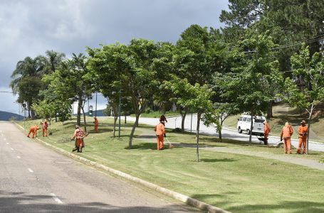 Mutirões de roçada seguem nos próximos finais de semana em Jundiaí