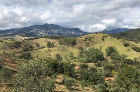 Projeto imobiliário na Serra da Mantiqueira oferece possibilidade de lucro com azeite