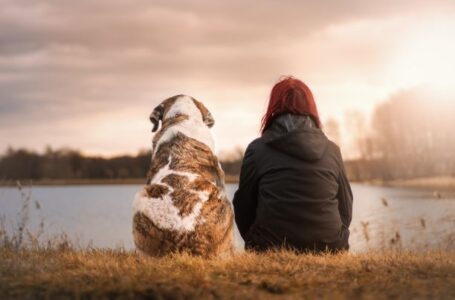 Outono faz aumentar casos de doenças respiratórias em pets