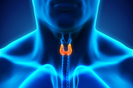 Hipotireoidismo e hipertireoidismo, você sabe a diferença?