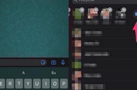 Whatsapp perfmite agora fazer chamada de vídeo com até oito pessoas