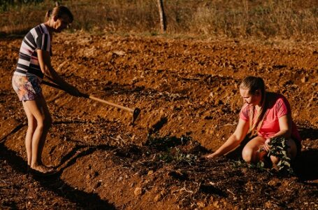 Educação no campo: projeto pioneiro do ARISE mostra em minidocumentário como mudar a realidade de jovens no campo