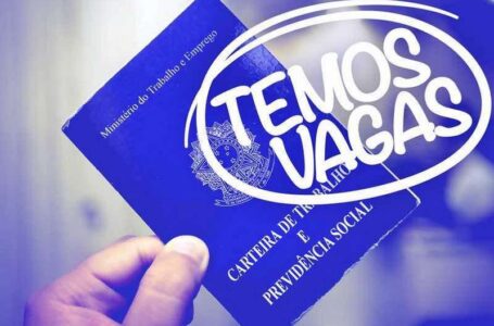 Confira as vagas de emprego desta quinta-feira (21/05/2020)