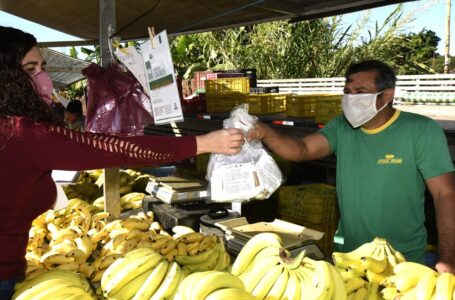 Feirantes de Jundiaí recebem máscaras de proteção