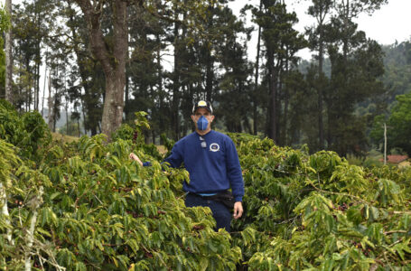 Programas da Prefeitura contribuem para preservação de ecossistemas naturais em Jundiaí