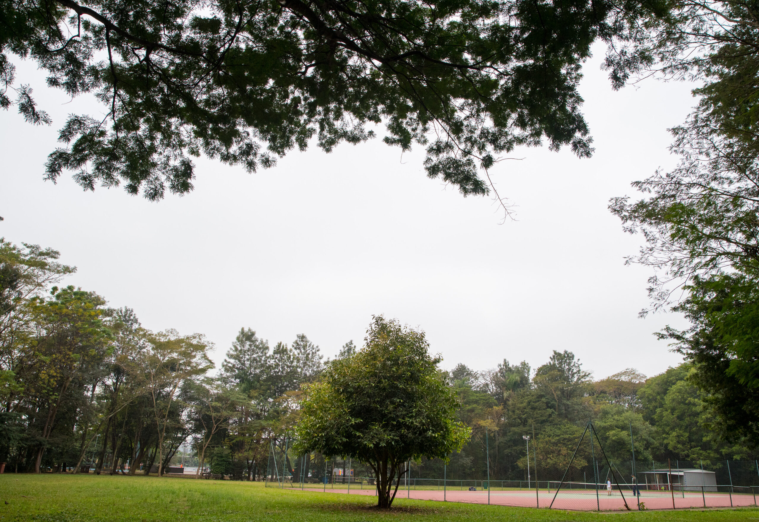 Escola da rede vira referência de ecoponto e tem dois certificados da ONU Meio Ambiente