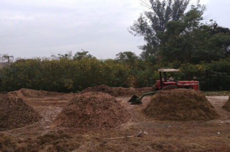 Agricultura de SP apoia empresa na compostagem acelerada de resíduos orgânicos