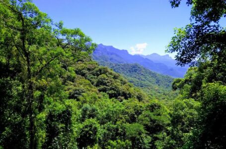 Unesp: Livro aborda importância do planejamento ambiental no meio rural