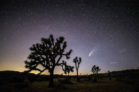 Cometa Neowise pode ser visto no Brasil a partir desta semana