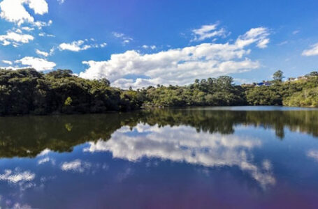 Secretaria de Agricultura promove estudos para salvar espécies de peixes ameaçadas