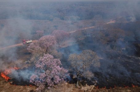 Pantanal tem maior número mensal de focos de incêndios na história