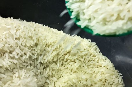 Governo define critérios para cota de importação de arroz