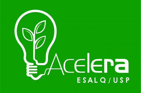 Esalq estimula empreendedorismo agro e tem programa de aceleração com universitários