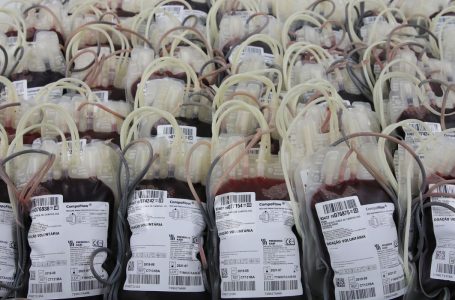 Fundação Pró-Sangue pede que doadores compareçam a postos de coleta