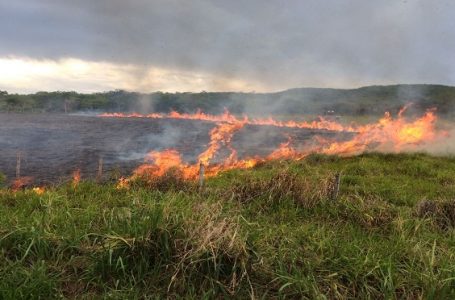 Período de estiagem aumenta risco de incêndios em áreas de vegetação