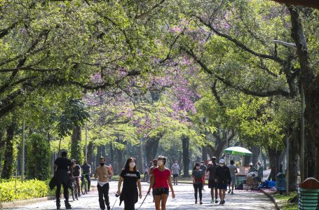 Cai para 33,8 milhões número de pessoas rigorosamente isoladas