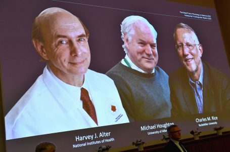 Nobel de Medicina é de cientistas que pesquisaram vírus da hepatite C