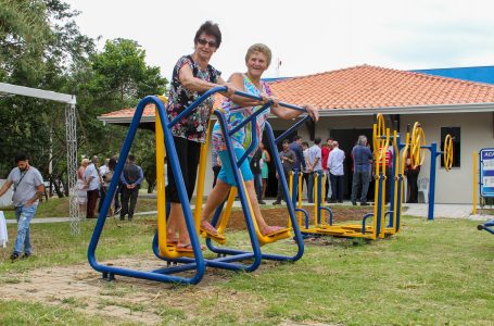 Serviços estaduais de Saúde do Idoso promovem lives de ginástica, culinária e artes