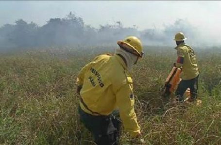 Ibama determina que brigadas de combate a incêndio retornem às atividades