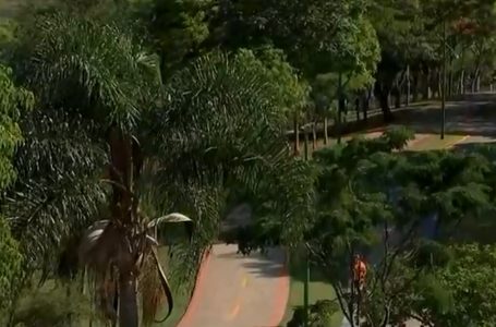 Parques e jardins botânicos voltam a funcionar aos fins de semana e feriados em Jundiaí