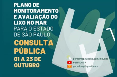 Estado realiza consulta pública sobre plano de monitoramento e avaliação de lixo no mar