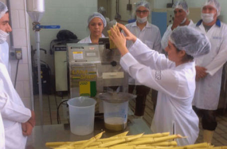 Empresa Júnior da USP ajuda empreendedor da área de alimentos a evitar prejuízos