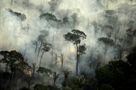 Bolsonaro prorroga ação dos militares na proteção da Amazônia até abril de 2021