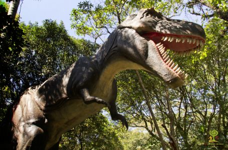 Museu Exploratório de Ciências promove Semana de Dinossauros