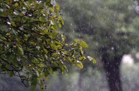 Mais chuva para SP, RJ e MG