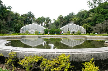 Governo de SP publica edital de concessão do Zoológico e Jardim Botânico