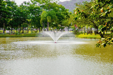 Parque da Cidade voltará a receber o público a partir da próxima segunda (28)