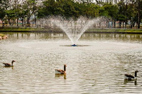 Parque da Cidade tem novo horário de funcionamento