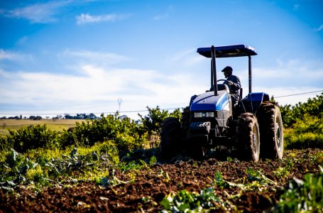 Subsídio do seguro agrícola: inscrições começam no dia 12 de março