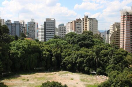 Parque Augusta deve ser inaugurado em outubro, diz prefeitura de SP