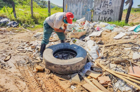 Pela Semana do dia D de combate à dengue, Prefeitura intensifica ações na cidade