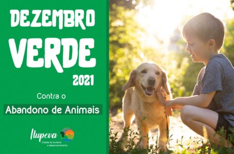 ‘Dezembro Verde 2021’ reforça conscientização contra o abandono de animais